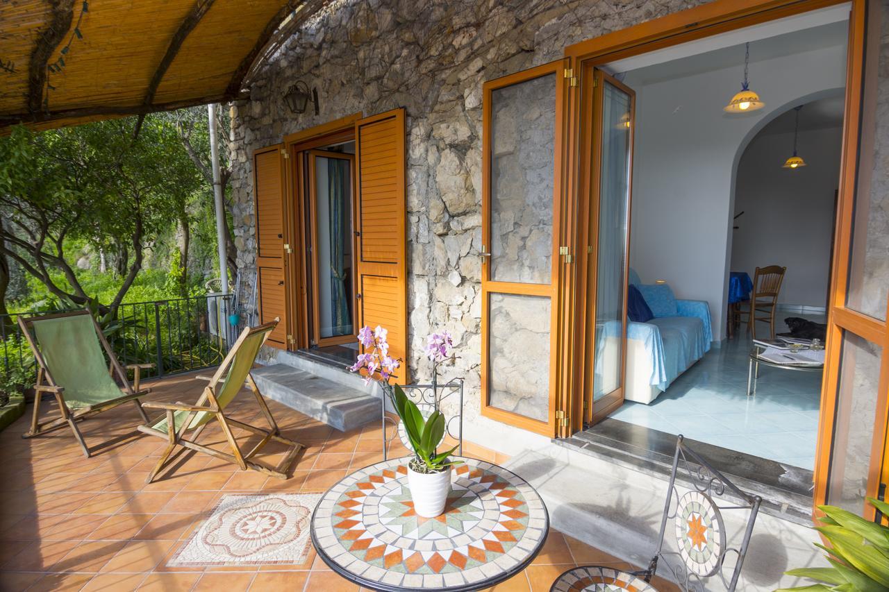 Le Nereidi B&B 포지타노 외부 사진